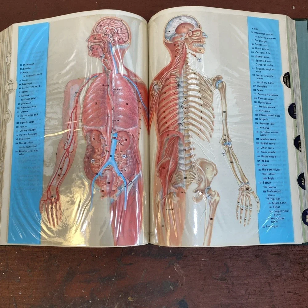 A New Milestone in Encyclopedia Craftsmanship: The World Book Encyclopedia: 1965